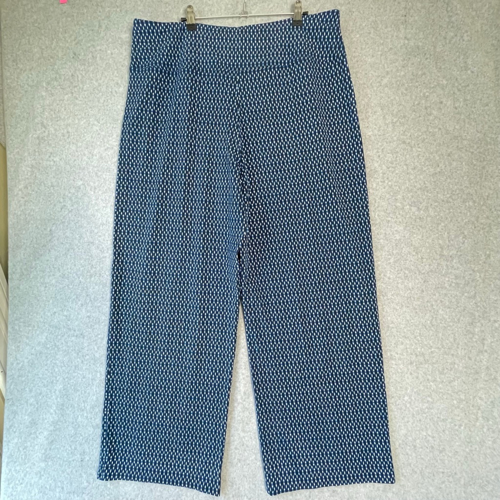 J Jill Pull On Pants Blue Modal XL